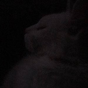 Meet your Posher, Wendy